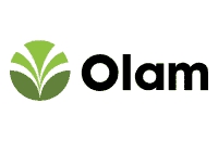 olam